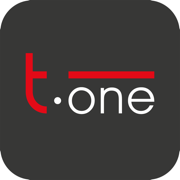 T.ONE NET CAM