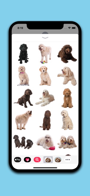 Labradoodle Stickers(圖3)-速報App