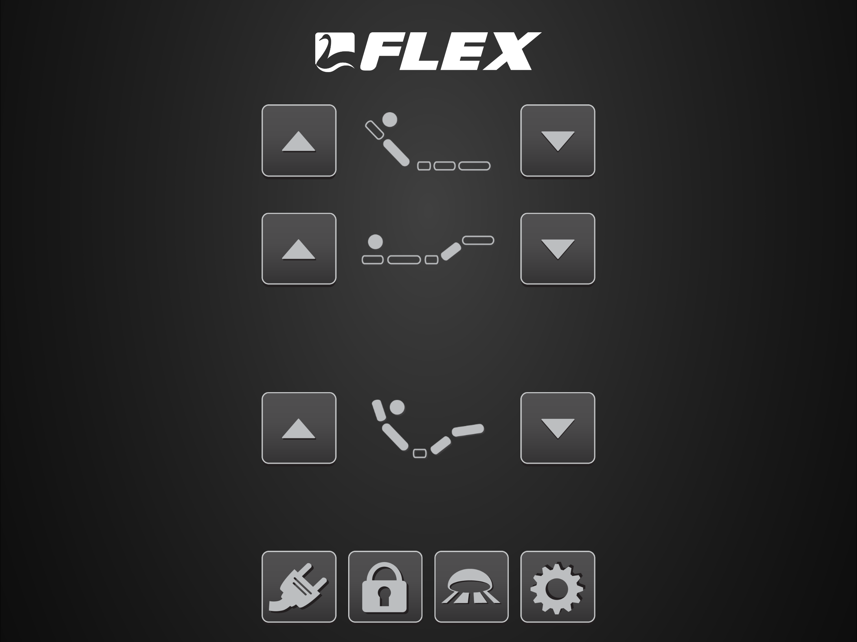 FLEX REMOTE