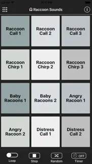 raccoon sounds iphone screenshot 1