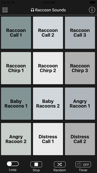 Raccoon Sounds Screenshot