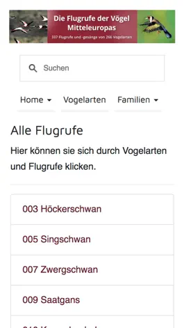 Game screenshot Flugrufe der Vögel hack