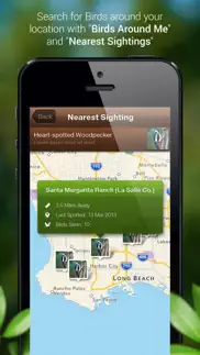 bird songs - bird call & guide iphone screenshot 4