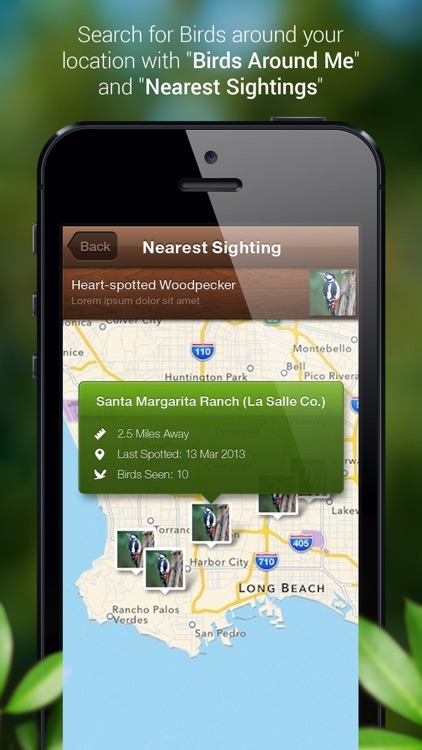 Bird Songs - Bird Call & Guide screenshot-3