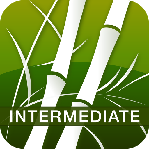 Human Japanese Intermediate Lite App Alternatives