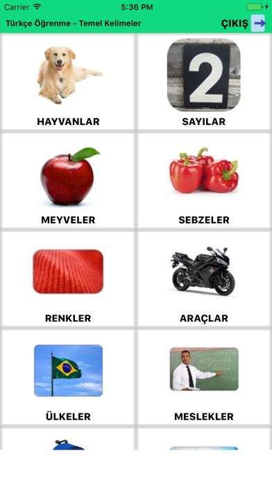 Screenshot #1 pour Learning Turkish - Basic Words