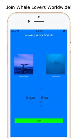 Game screenshot Calm Relaxing Whale Sounds HD mod apk