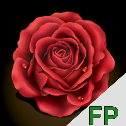 The Bachelor Fantasy Game Icon