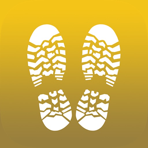 NIV Life Journey Bible