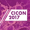 cicon2017