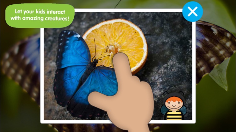 ABC Bugs screenshot-3