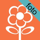 Top 10 Business Apps Like FotoKonnect - Best Alternatives