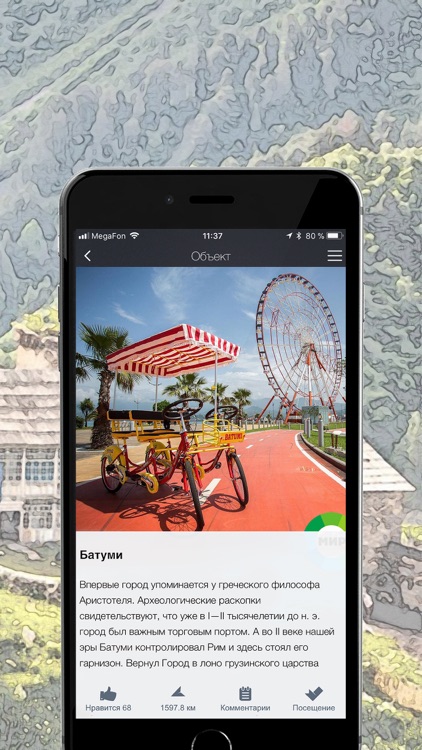 TopTripTip – Грузия screenshot-4