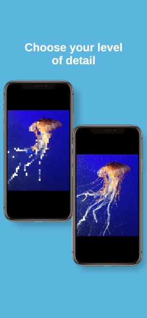 Pixel Illustrator(圖4)-速報App