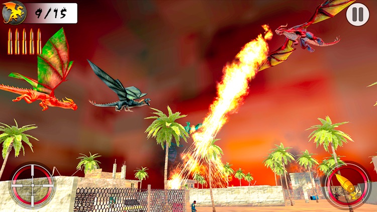 Dragon Warrior World Champion