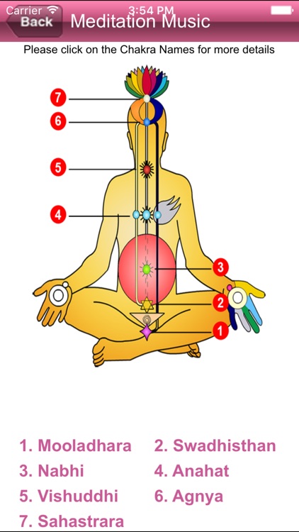 Sahaja Yoga screenshot-3