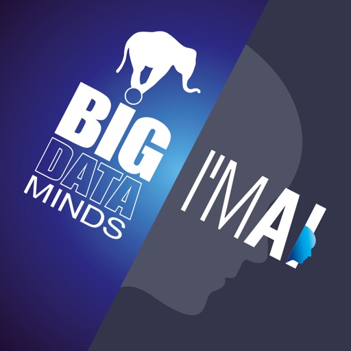 Big Data + AI