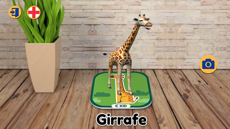 Ekidar1 - Animals and Vehicles