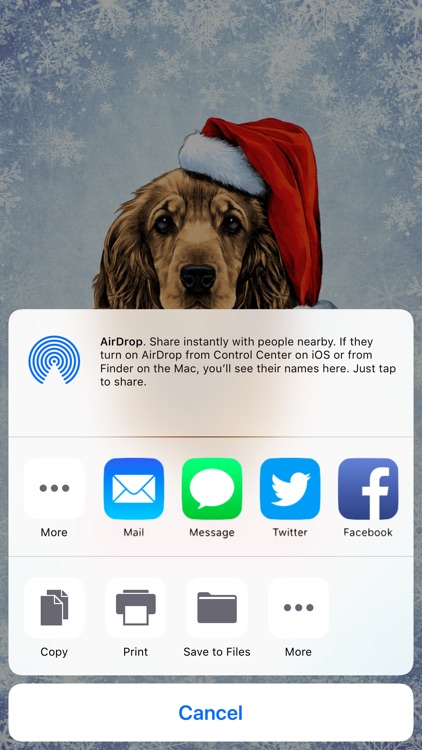 Happy Dog Holiday Cards screenshot-4