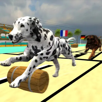 Lava Super Hound Racing Cheats