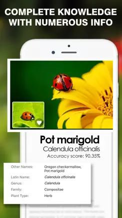 Smart Identifier: Plant+Insect iPhone image 1