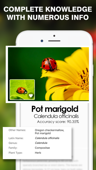 Screenshot #1 pour Smart Identifier: Plant+Insect