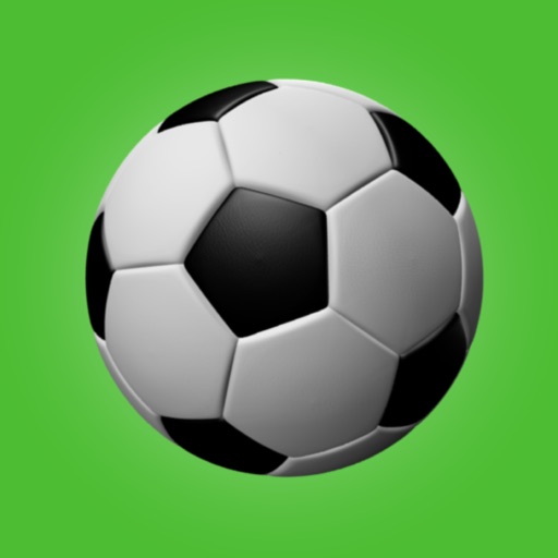 Soccer Teammate