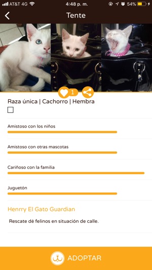 Adoptare(圖3)-速報App