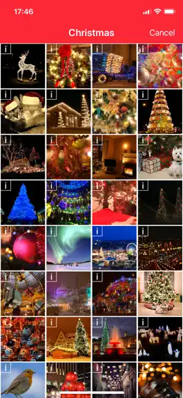 Game screenshot Greeto apk