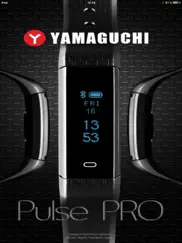 yamaguchi pulse pro айпад изображения 1