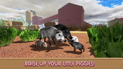 家の豚シミュレーターの生活のおすすめ画像3