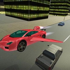 Activities of Flying Car: City Driving Sim