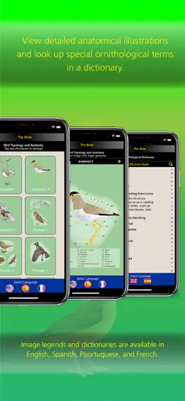 Game screenshot The Birds of Brazil hack