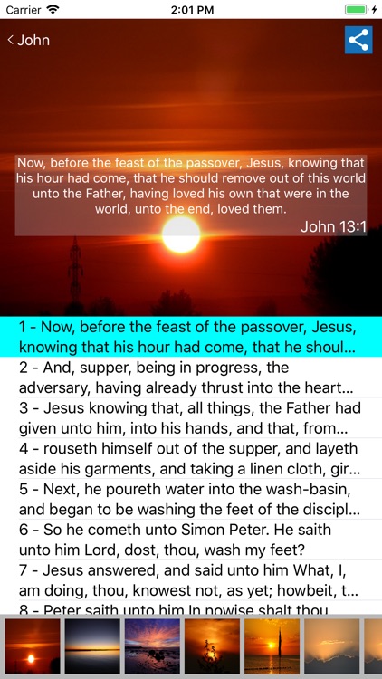 American King James Bible screenshot-7