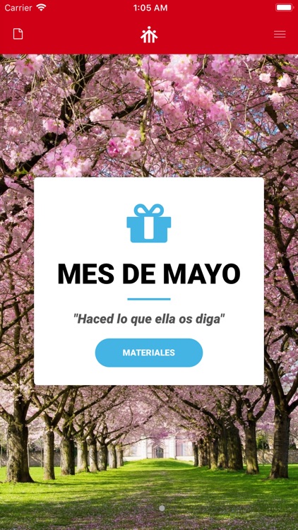 Pastoral SSM screenshot-5