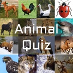 Animal Sounds Quiz and Learn