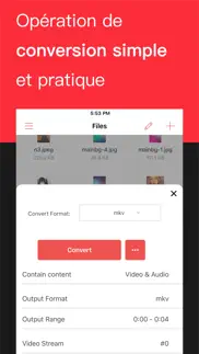 convertisseur de format iPhone Captures Décran 2