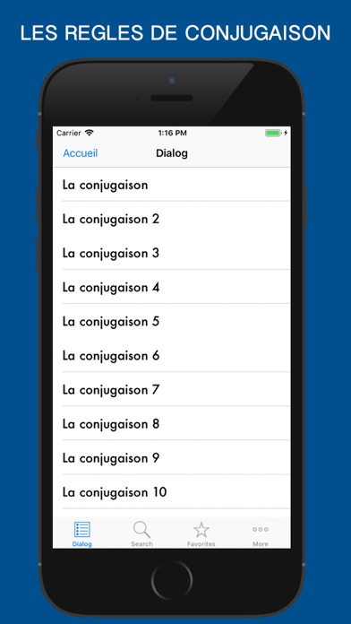 les regles de conjugaison screenshot 3