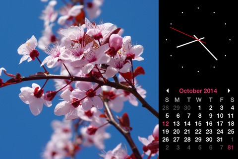 Photo Frame Calendar & Clock screenshot 4