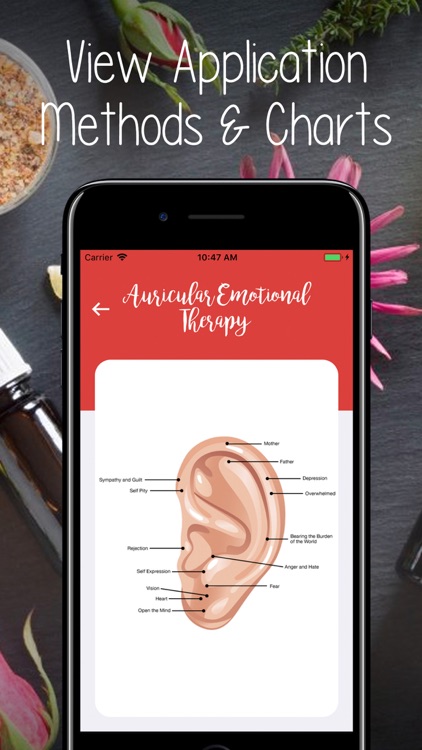 Essential Oils Guide - MyEO screenshot-7