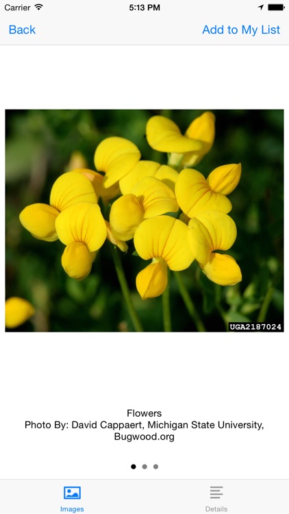 Alaska Weed ID screenshot-4