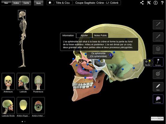 Screenshot #6 pour Skeleton System Pro III