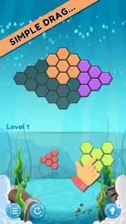 block merger - one hexa puzzle iphone screenshot 2