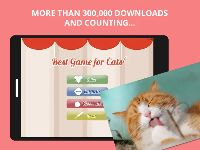 Best Game for Cats, game for IOS