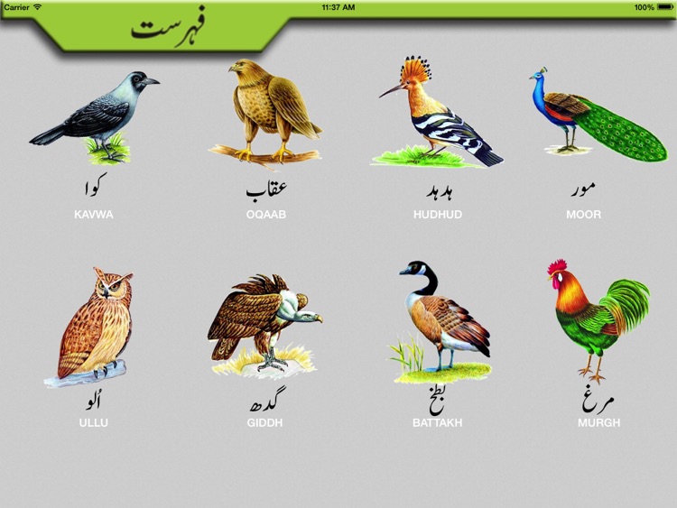 Toddler Urdu Qaidah Learning screenshot-4