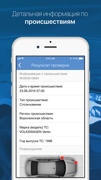 VinAuto: проверка автомобиля screenshot 3