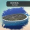 Bohol Island travel plan at your finger tips with this cool app