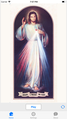 Chaplet of Divine Mercy Audio screenshot 2