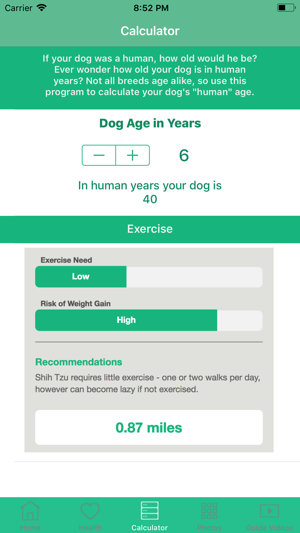 Shih Tzu Guide(圖1)-速報App