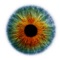 The app was developed at a major University for use as a way to record an Ophthalmologic Exam at the bedside or in the emergency department (away from the eye clinic)